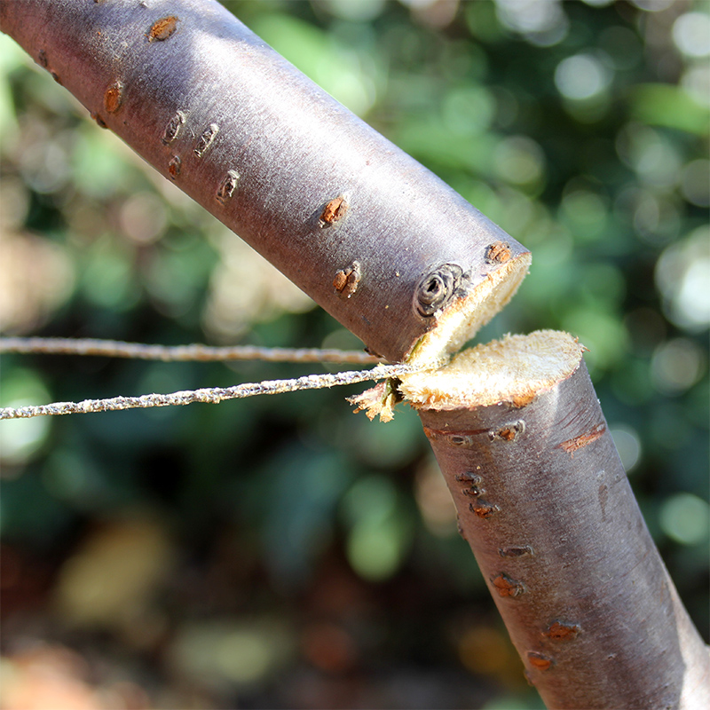 户外合金钢线锯钢丝锯石头木头野外求生锯